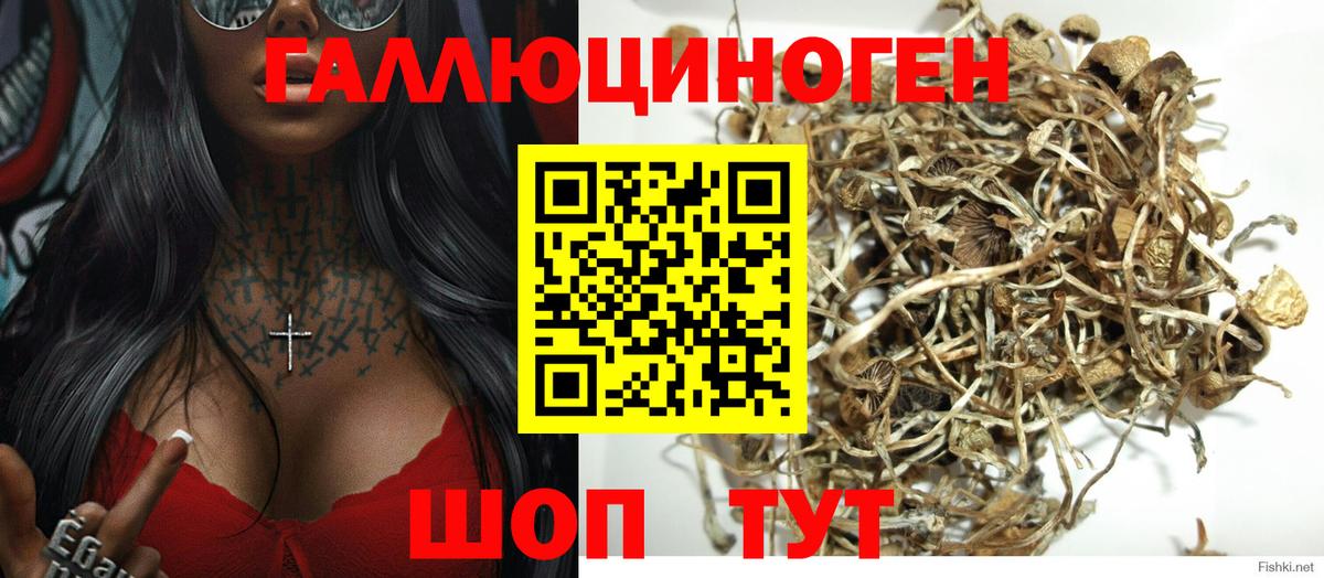 Псилоцибиновые грибы Magic Shrooms  Вход с VPN  Тихвин  Галлюциногенные грибы MAGIC MUSHROOMS 