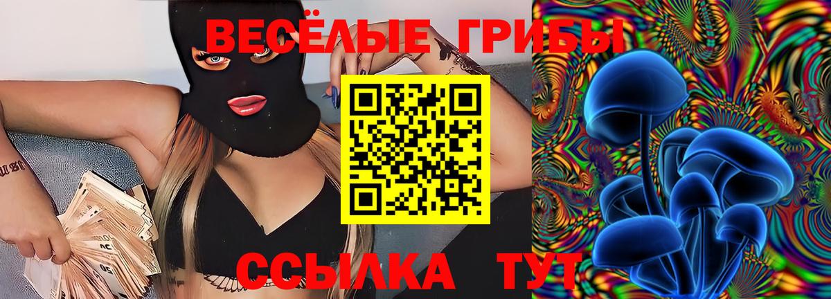 Галлюциногенные грибы GOLDEN TEACHER Тихвин